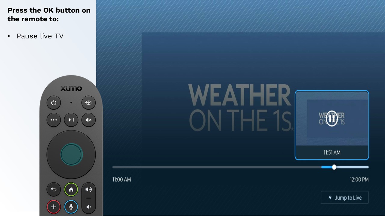 STVA app image 3.jpg