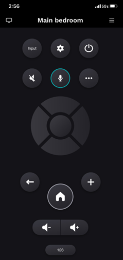 remote1.png